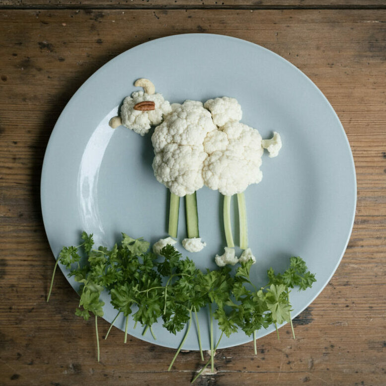 Cauliflower Sheep in a Pasley Meadow